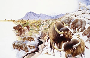 Different types of mammals gathered together on rugged landscape Different types of mammals gathered together on rugged landscape