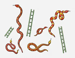 Digital illustration of colourful snakes and green ladders Digital illustration of colourful snakes and green ladders