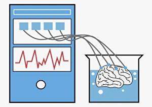 Digital illustration of computer providing stimulation to human brain , and brain experiencing virtual world Digital illustration of computer providing stimulation to human brain , and brain experiencing virtual world