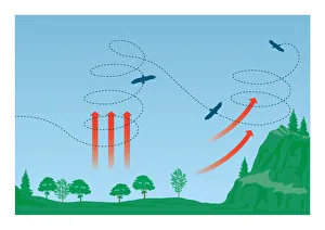Digital illustration of Eagles soaring using columns of warm air known as thermal Digital illustration of Eagles soaring using columns of warm air known as thermal