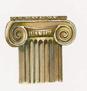 Digital illustration of Ionic order column Digital illustration of Ionic order column