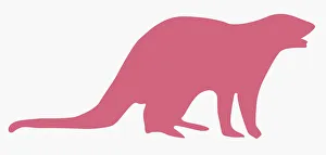 Digital illustration of pink silhouette of Mongoose Digital illustration of pink silhouette of Mongoose