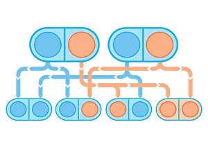 Digital illustration of recessive inheritance where both parents carry the abnormal Digital illustration of recessive inheritance where both parents carry the abnormal