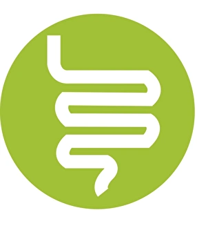 Digital illustration representing human intestine in green circle on white background Digital illustration representing human intestine in green circle on white background