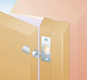 Digital illustration showing hinge bolt and locking plate on doorframe Digital illustration showing hinge bolt and locking plate on doorframe