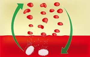 Digital illustration showing how a lava fountain works using two tablets dissolving in Digital illustration showing how a lava fountain works using two tablets dissolving in