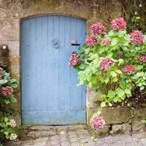 <b class=qtipBold><figcaption>Dinan, Brittany, France</figcaption></b><br>Hydrangea against an old wooden door in the town of Dinan in Brittany, France<br><em>© (C) David Clapp Photography Ltd - 2016</em> Dinan, Brittany, France