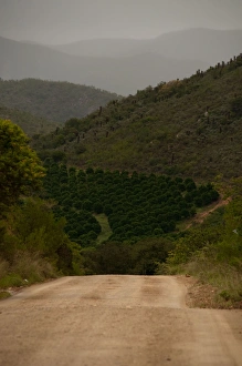 Dirt road through hills, Baviaans Kloof, Eastern Cape Province, South Africa Dirt road through hills, Baviaans Kloof, Eastern Cape Province, South Africa