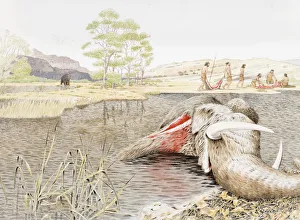Discarded bloody body of woolly mammoth in pool Discarded bloody body of woolly mammoth in pool
