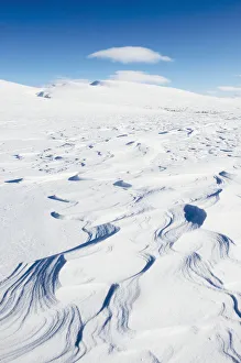 <b class=qtipBold><figcaption>Dovrefjell Nation Park</figcaption></b><br>A winter landscape of Dovrefjell National Park.<br><em>© Ben Cranke</em> Dovrefjell Nation Park