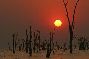 Lake Kariba Collection: Dramatic sunset over Lake Kariba. Zimbabwe, Southern Africa