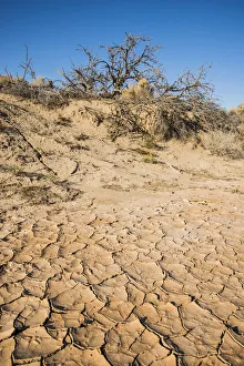 Dried riverbed, Lenwood on Mohave River during Drought Spotlight number 3, Route 66 Dried riverbed, Lenwood on Mohave River during Drought Spotlight number 3, Route 66