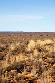 The dry and arid landscape in the Northern Cape South Africa The dry and arid landscape in the Northern Cape South Africa