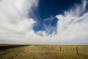 dry, fence, grass, grassland eco system, horizon over land, horizontal, landscape dry, fence, grass, grassland eco system, horizon over land, horizontal, landscape