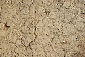 Dry sandy soil, Sossusvlei, Namib Naukluft Park, Namibia Dry sandy soil, Sossusvlei, Namib Naukluft Park, Namibia