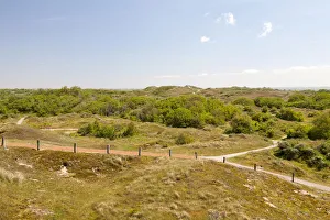 Dunes, Lower Saxon Wadden Sea National Park, Baltrum, East Frisian Islands, East Frisia, Lower Saxony, Germany Dunes, Lower Saxon Wadden Sea National Park, Baltrum, East Frisian Islands, East Frisia, Lower Saxony, Germany