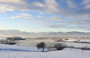 Early morning on Lake Rieg, Pfaffenwinkel, Upper Bavaria, Bavaria, Germany, Europe Early morning on Lake Rieg, Pfaffenwinkel, Upper Bavaria, Bavaria, Germany, Europe