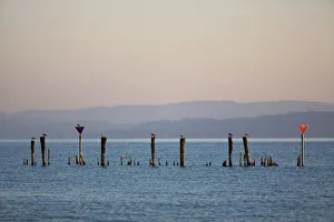 Early morning mood in the port of Guettingen, Lake Constance, Switzerland, Europe Early morning mood in the port of Guettingen, Lake Constance, Switzerland, Europe