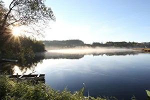Early morning on a pond in a marshland, Notzenweiher pond, Oberallgaeu, Allgaeu, Bavaria Early morning on a pond in a marshland, Notzenweiher pond, Oberallgaeu, Allgaeu, Bavaria