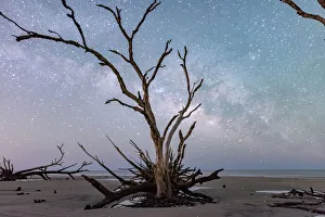 <b class=qtipBold><figcaption>Edisto Island Milky Way</figcaption></b><br>The Milky Way shot at Edisto Island, SC on with a mostly clear sky.<br><em>© ROBERT LOE</em> Edisto Island Milky Way