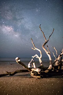<b class=qtipBold><figcaption>Edisto Island Milky Way 18</figcaption></b><br>The Milky Way shot at Edisto Island, SC on with a mostly clear sky.<br><em>© ROBERT LOE</em> Edisto Island Milky Way 18