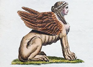 Egyptian Sphinx, handcoloured copper engraving from Friedrich Justin Bertuch Picture Egyptian Sphinx, handcoloured copper engraving from Friedrich Justin Bertuch Picture