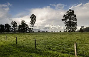 Electric fence and a large sheep pasture, against the backdrop of the Southern Alps Electric fence and a large sheep pasture, against the backdrop of the Southern Alps