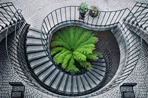 <b class=qtipBold><figcaption>Elephant fern</figcaption></b><br>Spiral stairs surround green fern.<br><em>© Copyright 2012 Lee Sie</em> Elephant fern