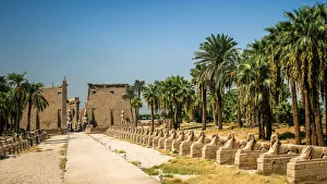 Entrance to the Temple of Luxor, Luxor, Egypt Entrance to the Temple of Luxor, Luxor, Egypt