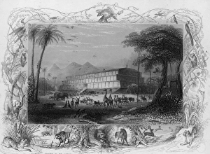 Entry Of Animals Onto The Ark Entry Of Animals Onto The Ark