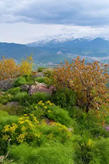 Erciyes peak and landscape view in summer season Erciyes peak and landscape view in summer season