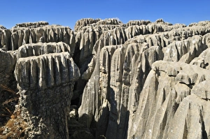 Eroded limestone, karst formation at Qalaat Faqra, Lebanon, Middle East, West Asia Eroded limestone, karst formation at Qalaat Faqra, Lebanon, Middle East, West Asia