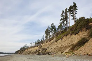 The Eroding Sand Cliffs At Florencia Bay In Pacific Rim National Park Near Tofino The Eroding Sand Cliffs At Florencia Bay In Pacific Rim National Park Near Tofino