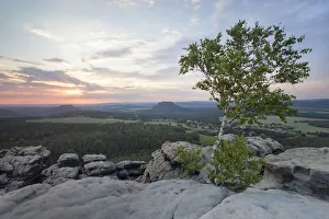 Evening mood on Mt Gohrisch with sunset, Elbe Sandstone Mountains, Saxony, Germany, Europe Evening mood on Mt Gohrisch with sunset, Elbe Sandstone Mountains, Saxony, Germany, Europe