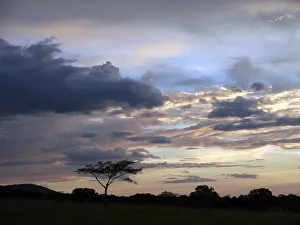 Evening sky at dusk in the Ricon de la Vieja National Park, Guanacaste, Costa Rica Evening sky at dusk in the Ricon de la Vieja National Park, Guanacaste, Costa Rica