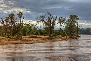 Images Dated 12th October 2011: Ewaso Ng iro River in Samburu National Reserve, Kenya, East Africa, Africa, PublicGround