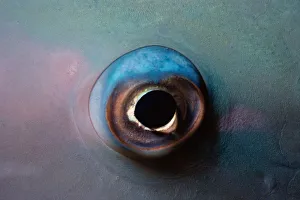 <b class=qtipBold><figcaption>Eye of Bluebarred Parrotfish</figcaption></b><br>Jeff Rotman Underwater Photography, 6395-000099 Eye of Bluebarred Parrotfish