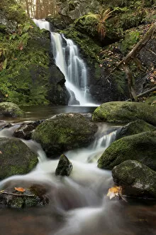 Foliage Collection: Falkau waterfalls in autumn, Feldebreg, Black Forest, Germany, Europe