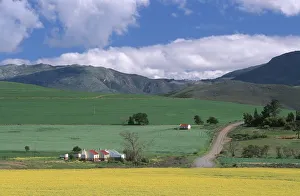 Farm Cottages and Rolling Green & Yellow Fields Farm Cottages and Rolling Green & Yellow Fields