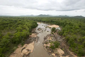 Faro river, located in the Faro-Lobeke hunting zone, looking north-eastwards towards Faro river, located in the Faro-Lobeke hunting zone, looking north-eastwards towards