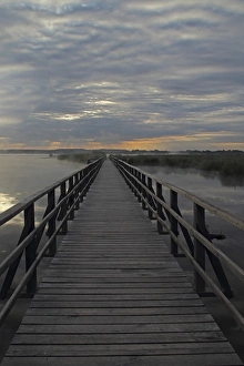 Federsee Lake, jetty, nature, nature reserve, Upper Swabia, Baden-Wuerttemberg, Germany Federsee Lake, jetty, nature, nature reserve, Upper Swabia, Baden-Wuerttemberg, Germany