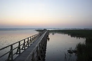 Federsee lake, morning mood, Federsee lake area, nature reserve near Bad Buchau Federsee lake, morning mood, Federsee lake area, nature reserve near Bad Buchau