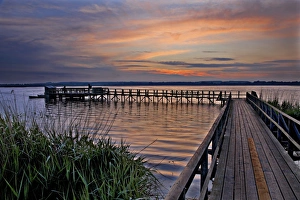 Federsee Pier at dawn, Bad Buchau, Baden-Wuerttemberg, Germany, Europe Federsee Pier at dawn, Bad Buchau, Baden-Wuerttemberg, Germany, Europe