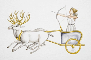 Female fairy tale character with bow and arrow, standing in chariot pulled by reindeer Female fairy tale character with bow and arrow, standing in chariot pulled by reindeer