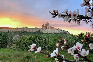 Spring Collection: A fiery sunset over Mdina, Malta
