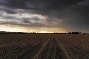 The First Rains Arrive at Sunset to a Farm Field Freshly Prepared The First Rains Arrive at Sunset to a Farm Field Freshly Prepared
