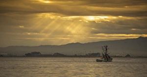<b class=qtipBold><figcaption>Fishing Boat</figcaption></b><br>A fishing boat works in the early morning hours in Monterey Bay, California.<br><em>© 2015 Chase Dekker Wild-Life Images</em> Fishing Boat