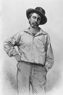 Flamboyant Whitman Flamboyant Whitman