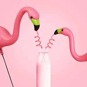 Two flamingos drinking from straws in a bottle Two flamingos drinking from straws in a bottle
