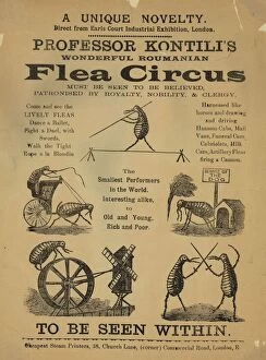 Related Images Gallery: Flea Circus